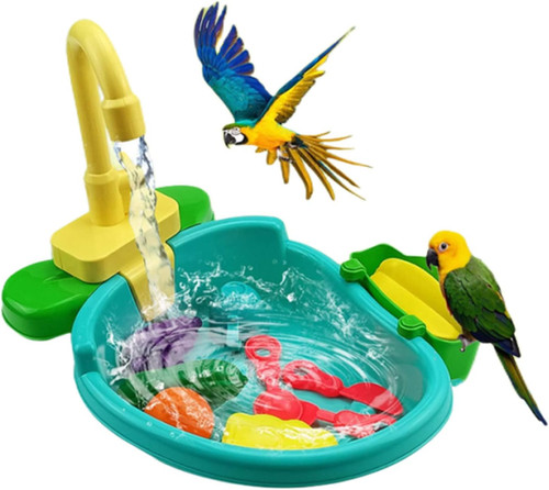 Pet bath tub - tub, bird